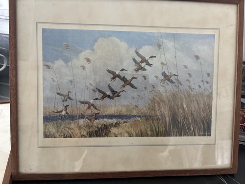 Peter scott print framed - ,,