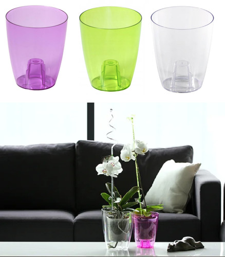Plant orchid pot - plant,