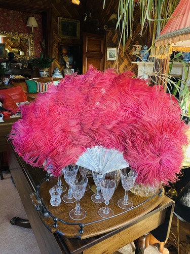 Large antique pink ostrich - antique,
