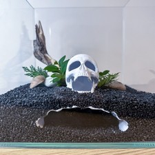 Large Aquarium Cave Hide Skull Pirate for Betta Shrimp, Plecos, Cory – Decor