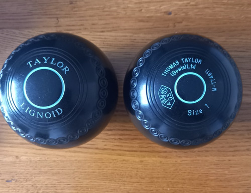 Taylor lignoid bowls pair - taylor,