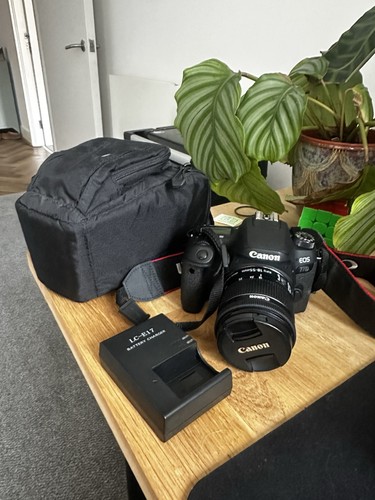 Canon eos 77d digital slr - digital,
