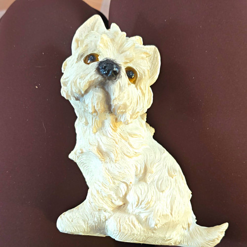 West highland white terrier - highland,