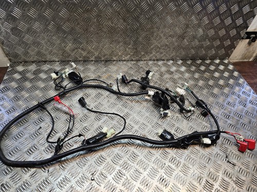 Lexmoto diablo 50 - lexmoto,