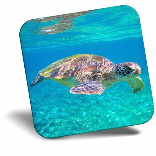 Awesome fridge magnet - awesome,