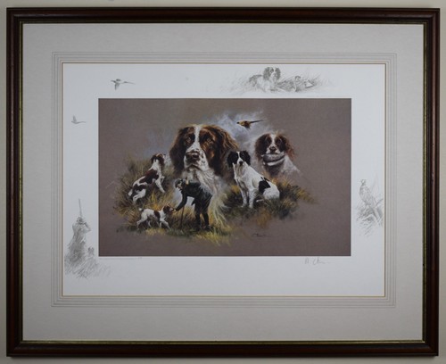 Springer spaniels signed - springer, spaniels.