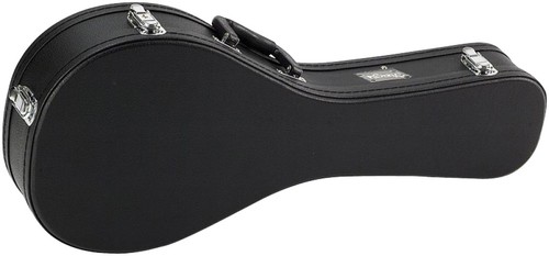 Case for bluegrass mandolin - case,