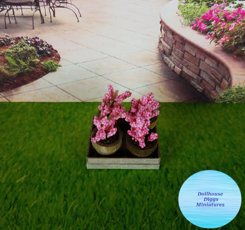 Miniature potted pink - 4,
