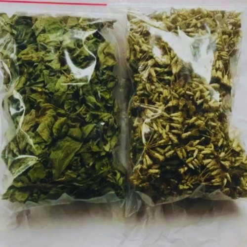 Dried mexican dream herb calea - dried,