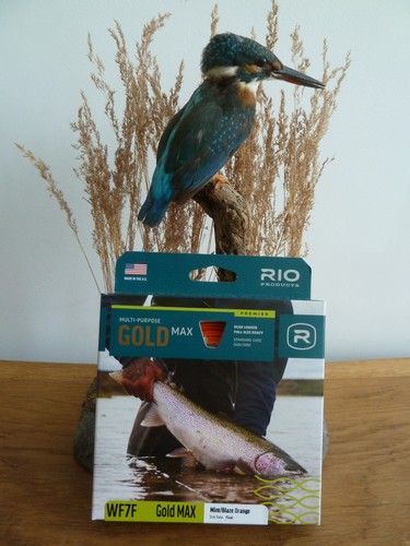 Rio gold max wf7 - gold,