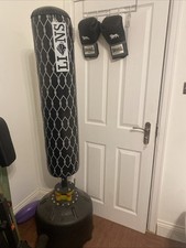 Punching Bag with Boxing