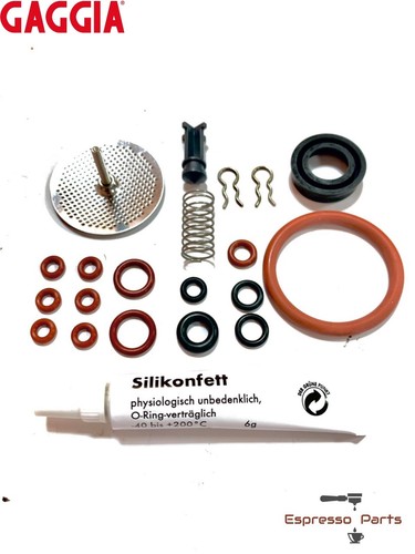 Gaggia titanium repair kit - titanium,