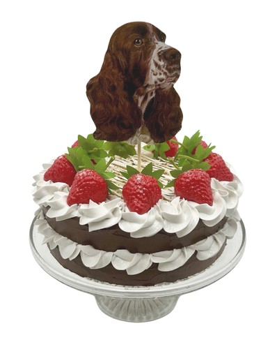 English springer spaniel cake - spaniel,