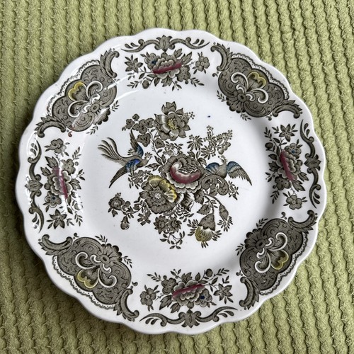 Windsor ridgway staffordshire - ridgway,