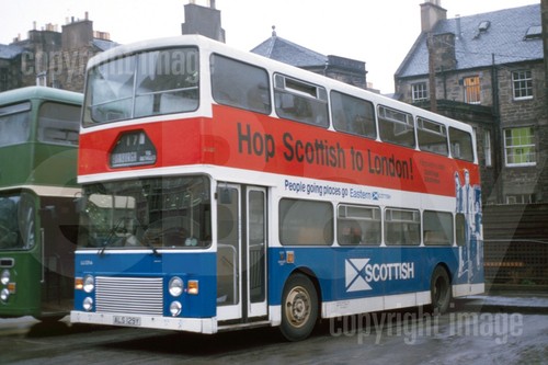 Bus photo eastern - photo, scottish