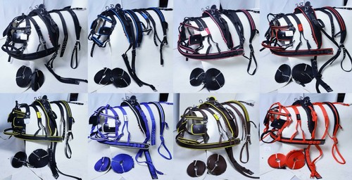 Horse nylon driving - horse, cart