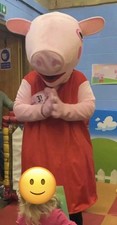 Peppa Pig Lookalike Suit