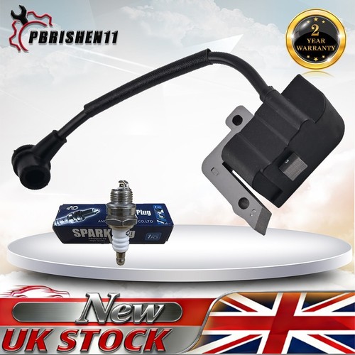 Ignition coil for echo - ignition,