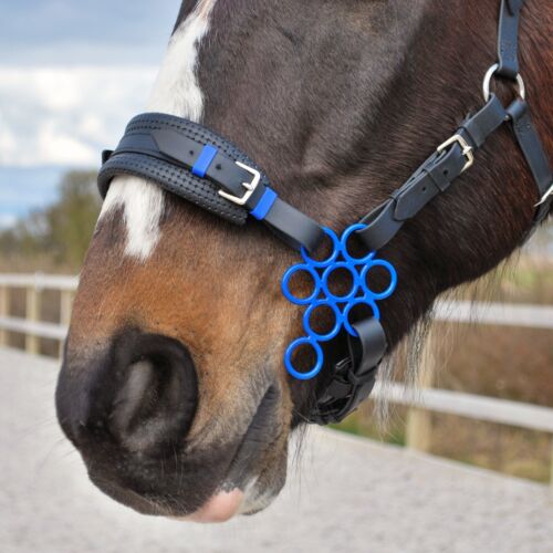 Blue flower hackamore bitless - flower,