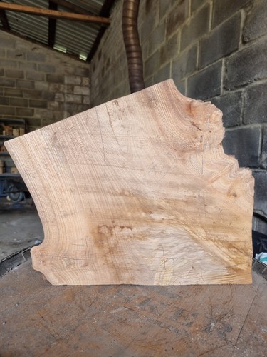 English elm hardwood slab