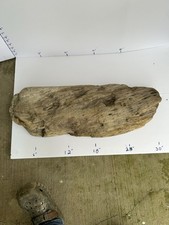 Large Mississippi River Driftwood Plank