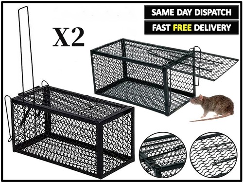 Rat catcher spring - 2,