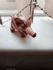 Shamrock Pink Long Snorted