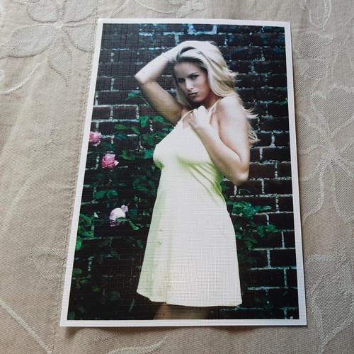 Job lot glamour model - lot,