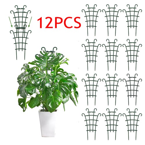 12x garden plant climbing - garden,