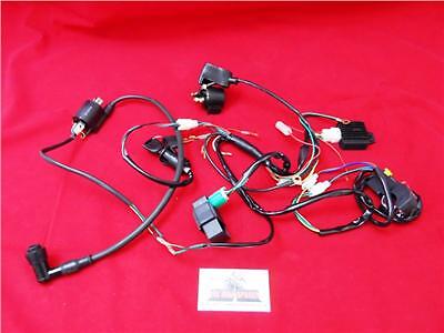 Pit bike complete wiring - complete,
