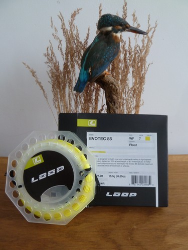 Loop evotec 7 - evotec, wf