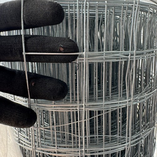 Welded chicken wire mesh rolls - welded,
