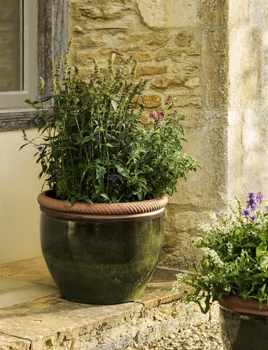 Garden planter glazed olive - garden,
