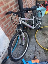 Apollo Twilight Ladies Purple