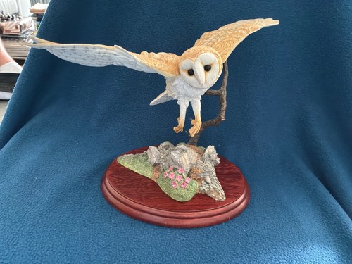 Border fine arts - border, owl
