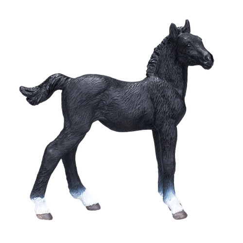 Mojo hanoverian foal horse - mojo,