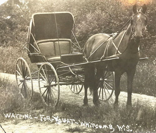 Antique vtg rppc - rppc, horse