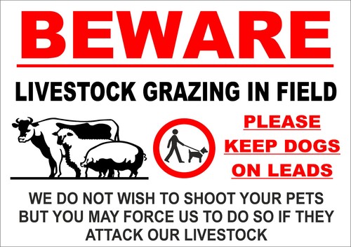 Beware livestock grazing - livestock, in