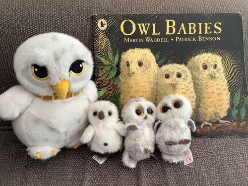 Owl babies story sack teaching - owl,