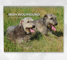 Irish Wolfhound Calendar 2026: Monthly Wall Calendar with Notes, opens to A3