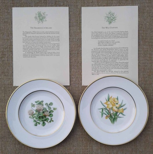 Royal worcester side - 2,