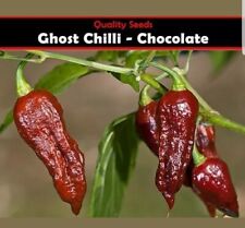 Chilli Seeds Pepper Chocolate