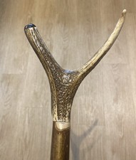 Stag Horn Thumb Walking Stick