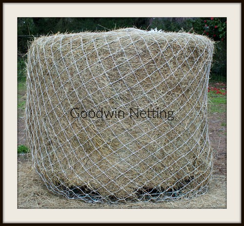 Horse hay round bale - bale, net