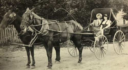 Antique rppc horse drawn - antique, buggy