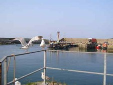 Photo 6x4 Amlwch Port A returning fishing boat about to enter one of the  c2007