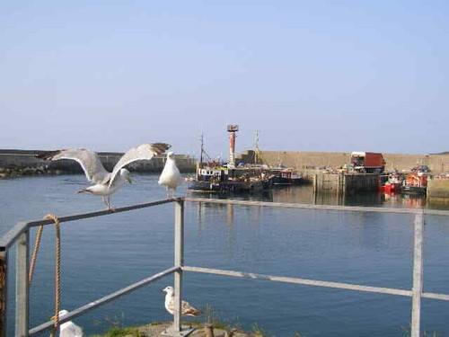 Photo 6x4 amlwch - photo,