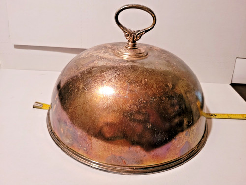 Silver plated food - ,
