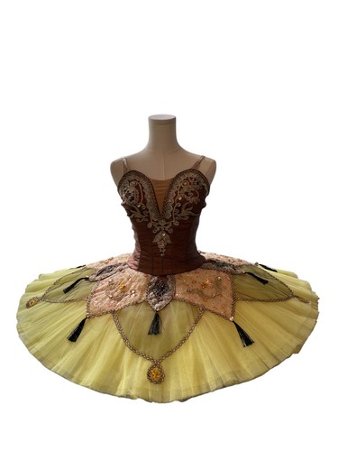 Professional platter ballet - professional,