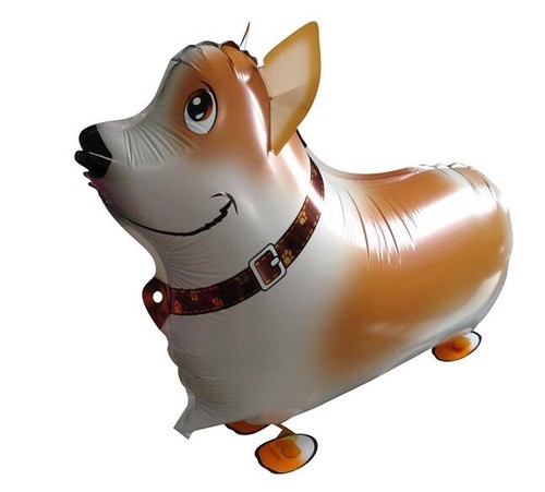Corgi dog balloon walking pet - corgi,